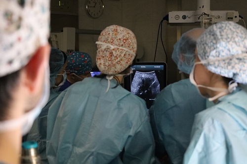 Electoporació_tumors