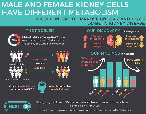 Infografia