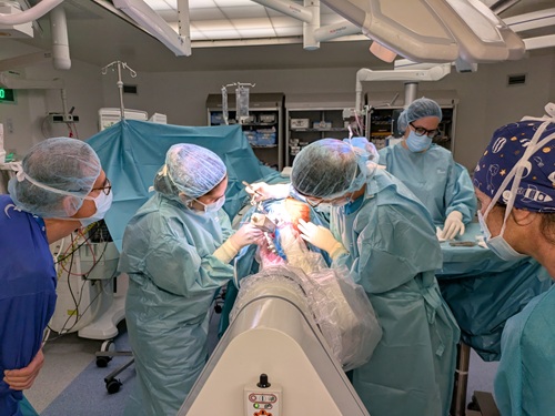 Cirurgia_DBS_epilepsia