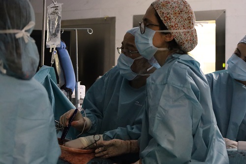 Electoporació_tumors