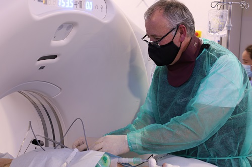 Crioablació_Tumors