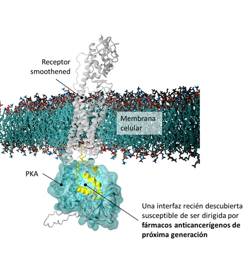 Diagrama_Nature_Structural_&_Molecular_Biology