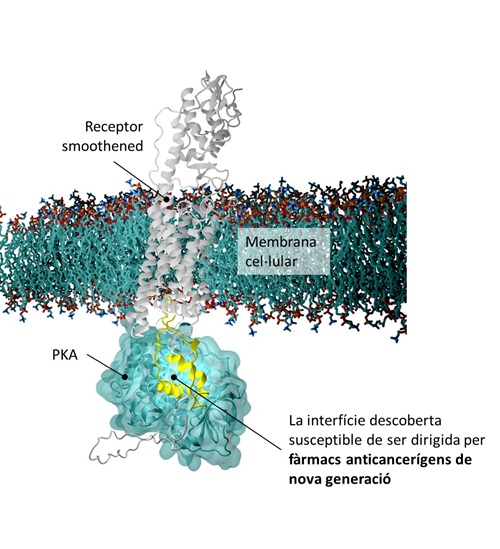 Diagrama_Nature_Structural_&_Molecular_Biology