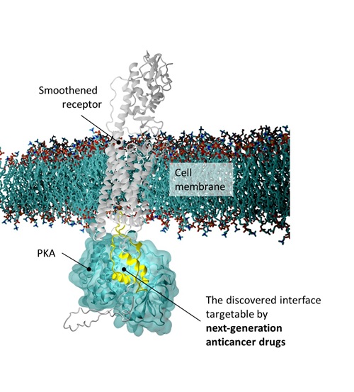 Diagrama_Nature_Structural_&_Molecular_Biology