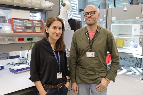 Iolanda_Lázaro_Aleix_Sala_Vila