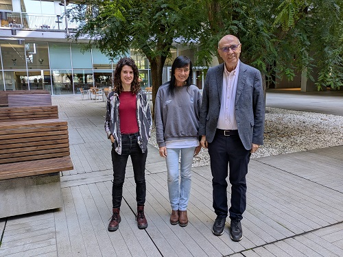 Depressió_resistent_tractament